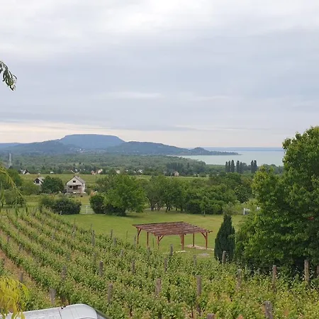 Szabo Pince Vendeghaz Балатонедерич