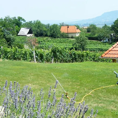 Гостевой дом Szabo Pince Vendeghaz *