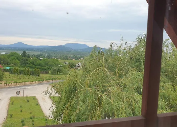 Szabo Pince Vendeghaz Гостевой дом *