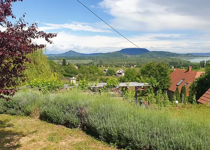 Szabo Pince Vendeghaz بيت ضيافة بالاتونيديريكس