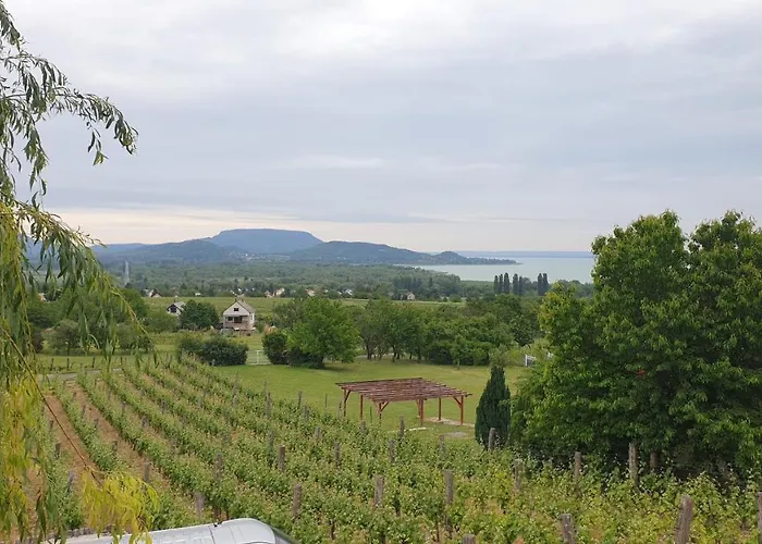 Szabo Pince Vendeghaz بالاتونيديريكس