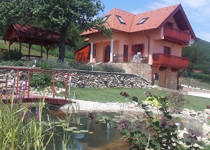 בית הארחה Szabo Pince Vendeghaz בלטונדריץ'