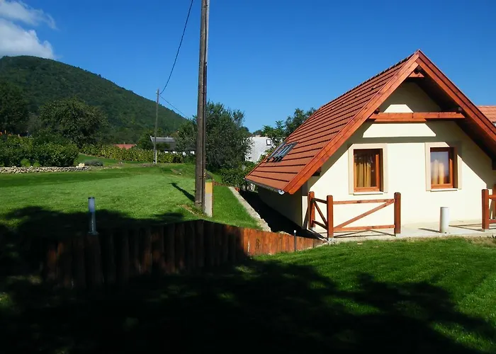 Szabo Pince Vendeghaz Гостевой дом *