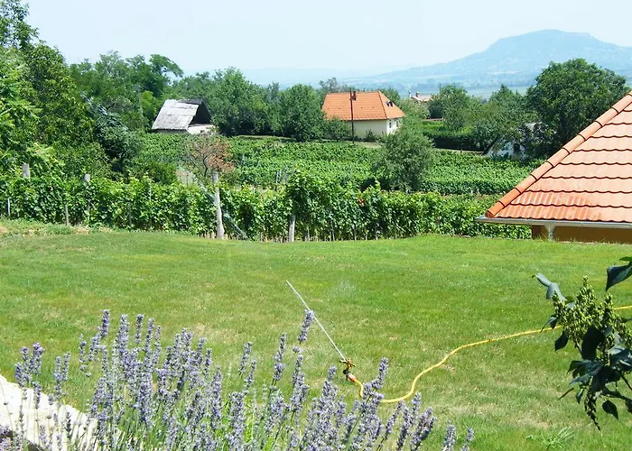 Гостевой дом Szabo Pince Vendeghaz *