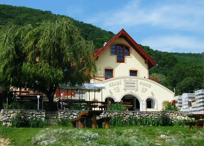 בית הארחה Szabo Pince Vendeghaz *